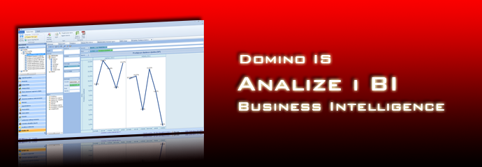 Analize i BI (Business Intelligence)